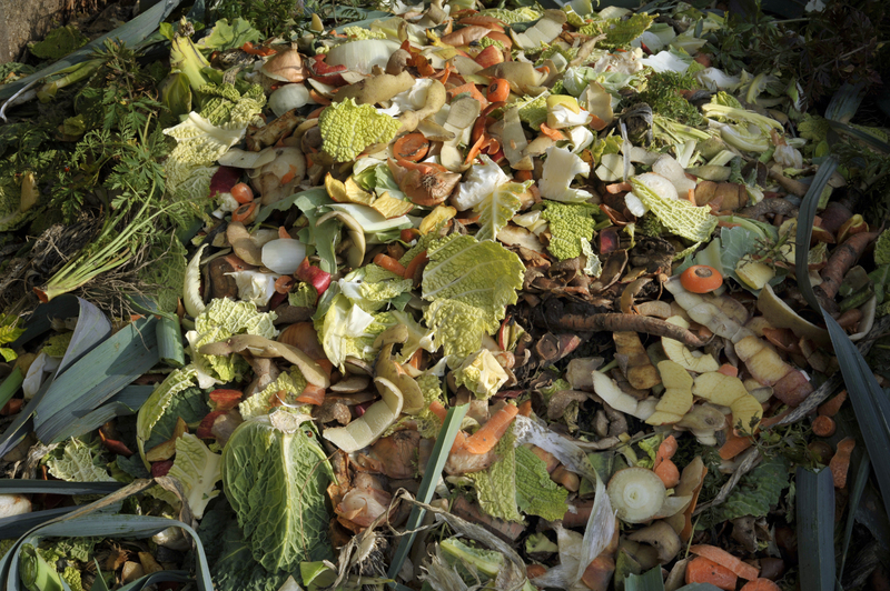 Creative Classroom Recycling Projects for Students